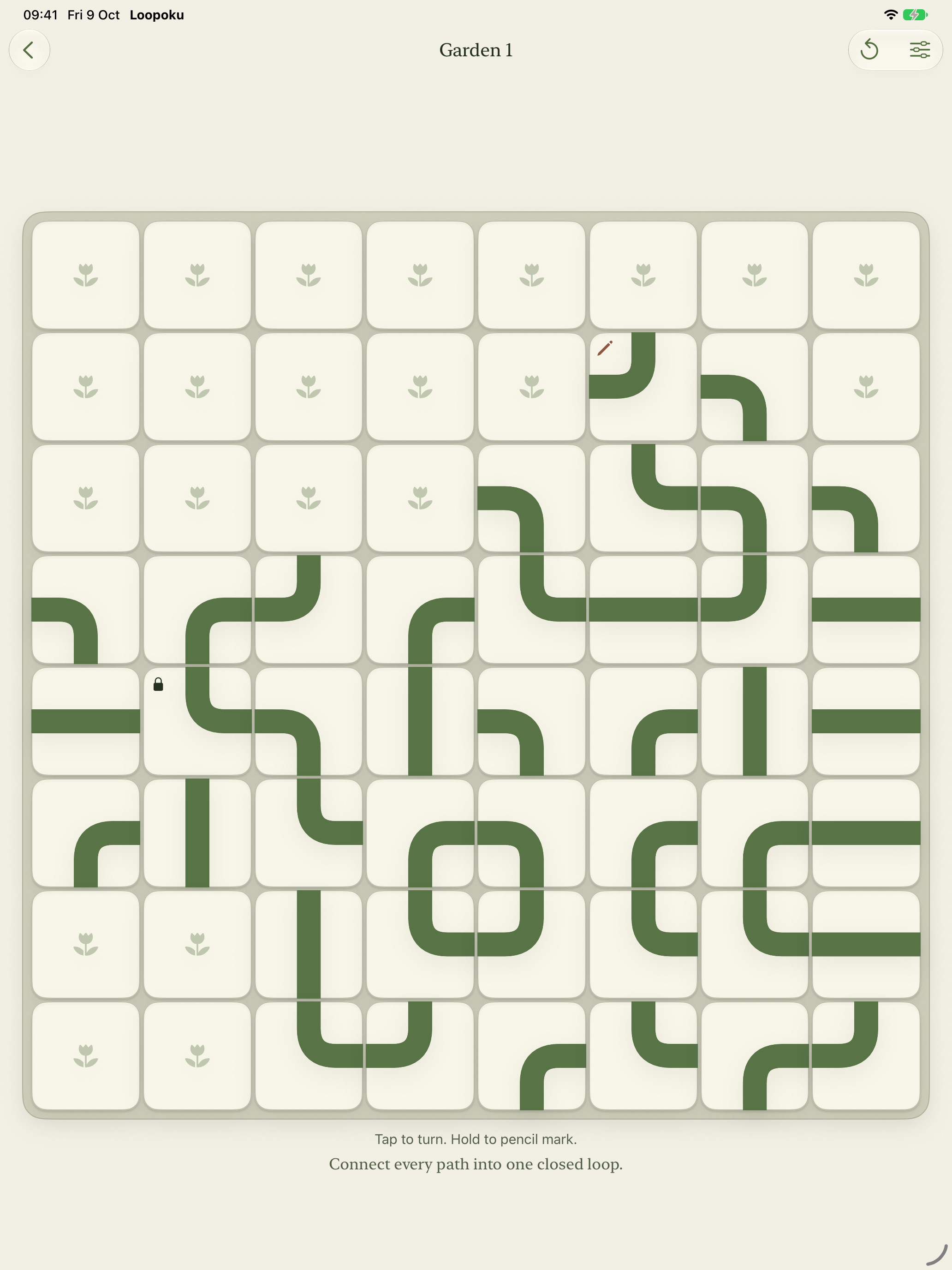 Loopoku native gameplay on iPad